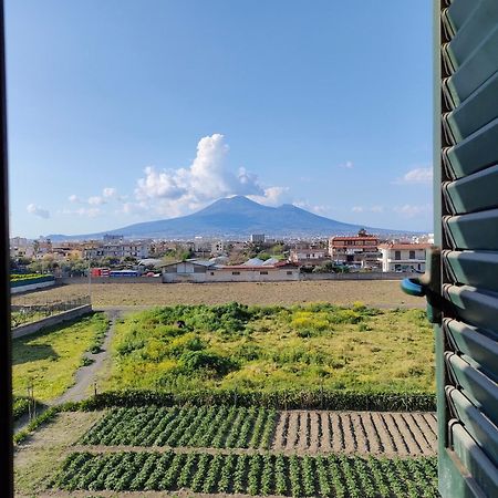 Lilla Housing Leilighet Castellammare di Stabia Eksteriør bilde