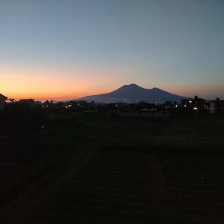 Lilla Housing Leilighet Castellammare di Stabia Eksteriør bilde