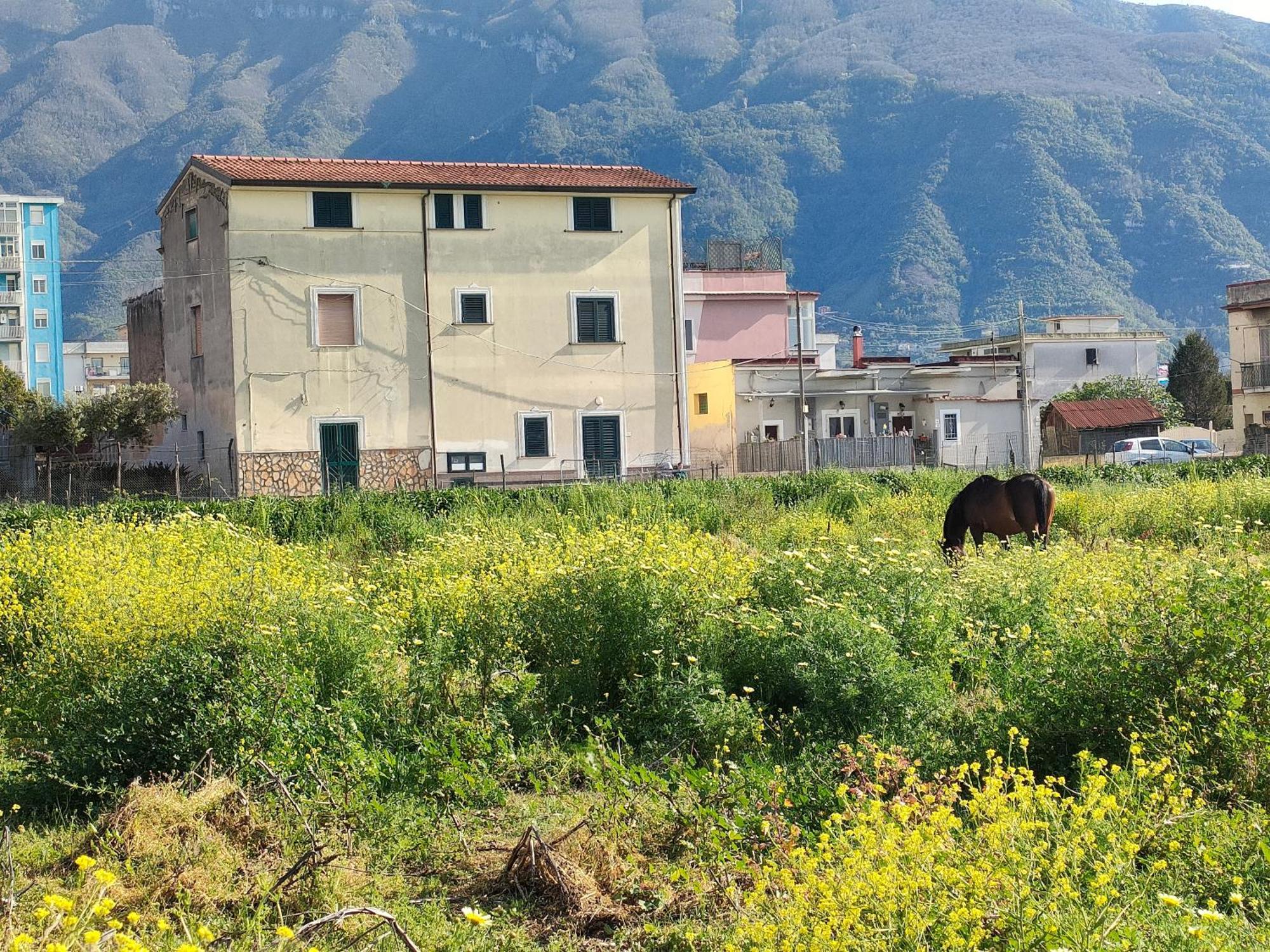Lilla Housing Leilighet Castellammare di Stabia Eksteriør bilde