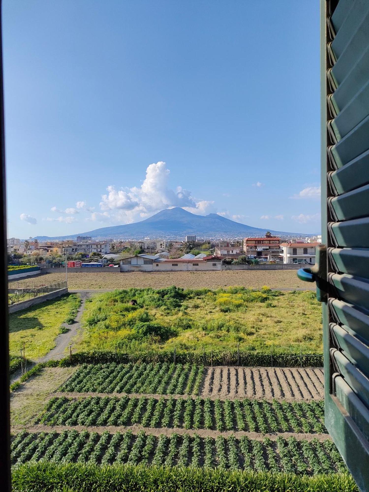 Lilla Housing Leilighet Castellammare di Stabia Eksteriør bilde